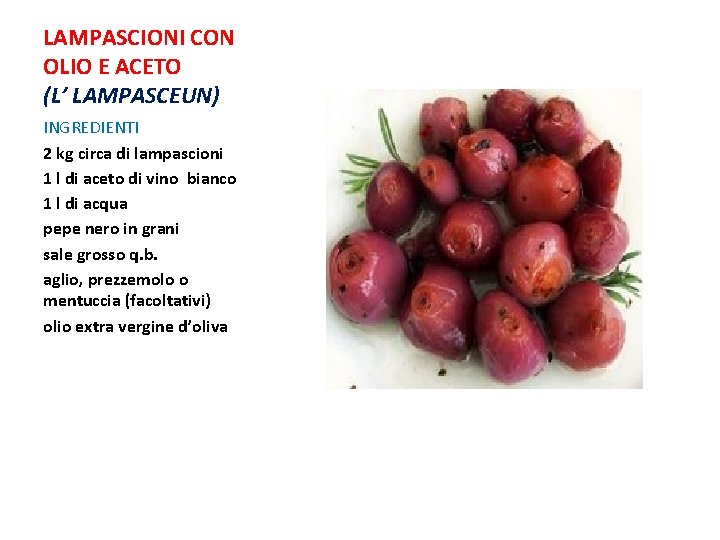 LAMPASCIONI CON OLIO E ACETO (L’ LAMPASCEUN) INGREDIENTI 2 kg circa di lampascioni 1 LAMPASCIONI CON OLIO E ACETO (L’ LAMPASCEUN) INGREDIENTI 2 kg circa di lampascioni 1