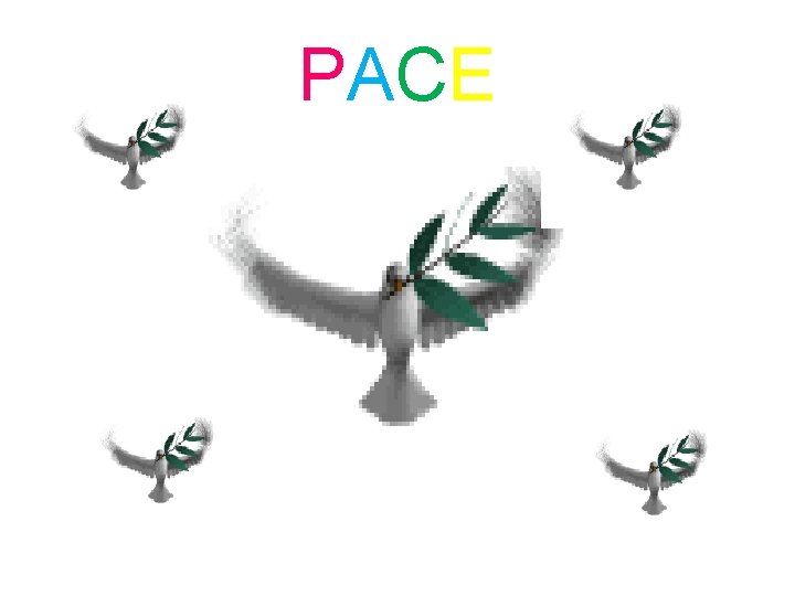 PACE PACE