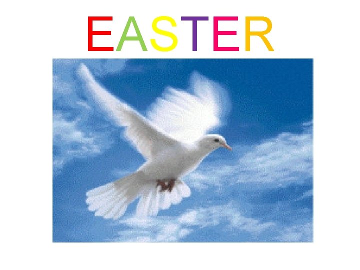 EASTER EASTER