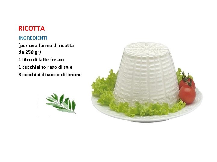RICOTTA INGREDIENTI (per una forma di ricotta da 250 gr) 1 litro di latte RICOTTA INGREDIENTI (per una forma di ricotta da 250 gr) 1 litro di latte