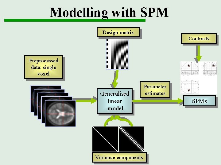 Modelling with SPM Design matrix Contrasts Preprocessed data: single voxel Generalised linear model Variance