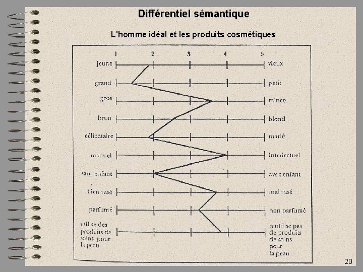 Différentiel sémantique L'homme idéal et les produits cosmétiques 20 