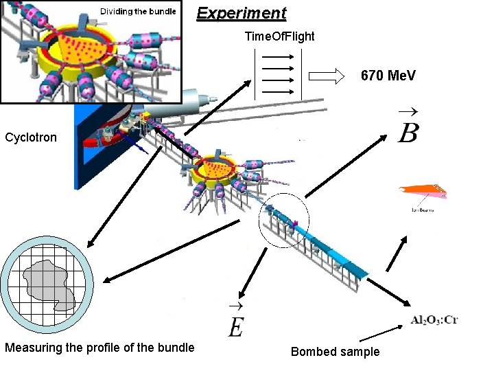 Experiment Time. Of. Flight 670 Me. V Cyclotron Measuring the profile of the bundle