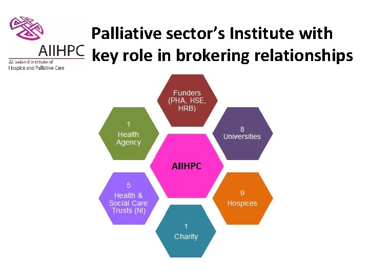 Palliative sector’s Institute with key role in brokering relationships 