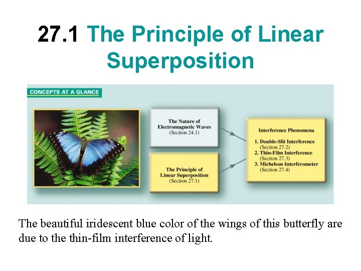 27. 1 The Principle of Linear Superposition The beautiful iridescent blue color of the