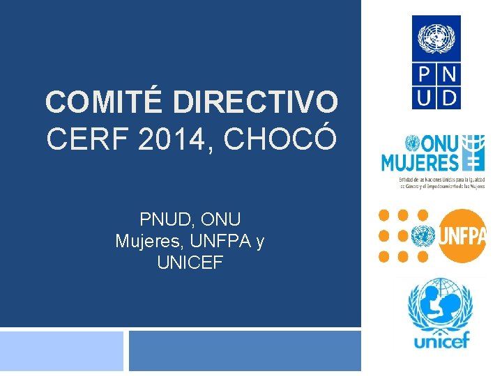 COMITÉ DIRECTIVO CERF 2014, CHOCÓ PNUD, ONU Mujeres, UNFPA y UNICEF 