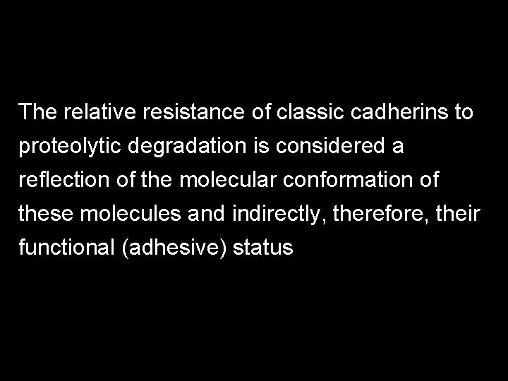The relative resistance of classic cadherins to proteolytic degradation is considered a reflection of The relative resistance of classic cadherins to proteolytic degradation is considered a reflection of