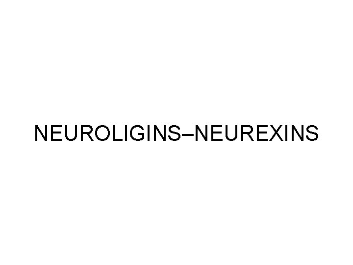 NEUROLIGINS–NEUREXINS NEUROLIGINS–NEUREXINS