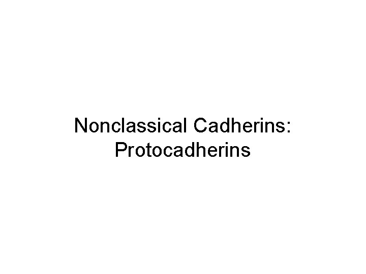 Nonclassical Cadherins: Protocadherins Nonclassical Cadherins: Protocadherins
