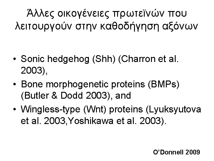 Άλλες οικογένειες πρωτεϊνών που λειτουργούν στην καθοδήγηση αξόνων • Sonic hedgehog (Shh) (Charron et Άλλες οικογένειες πρωτεϊνών που λειτουργούν στην καθοδήγηση αξόνων • Sonic hedgehog (Shh) (Charron et