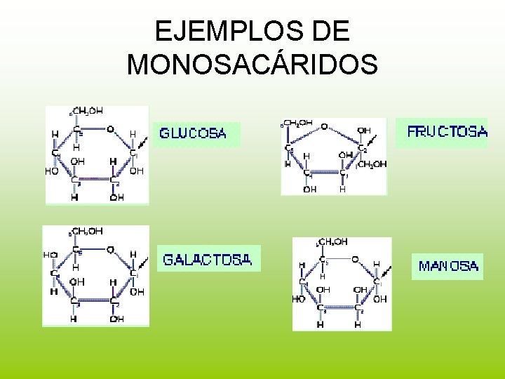 EJEMPLOS DE MONOSACÁRIDOS 