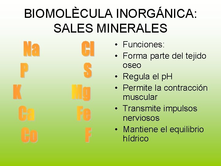 BIOMOLÈCULA INORGÁNICA: SALES MINERALES • Funciones: • Forma parte del tejido oseo • Regula