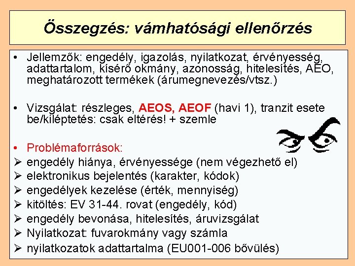 Összegzés: vámhatósági ellenőrzés • Jellemzők: engedély, igazolás, nyilatkozat, érvényesség, adattartalom, kísérő okmány, azonosság, hitelesítés,