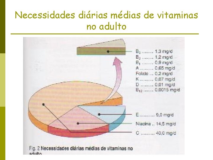 Necessidades diárias médias de vitaminas no adulto 