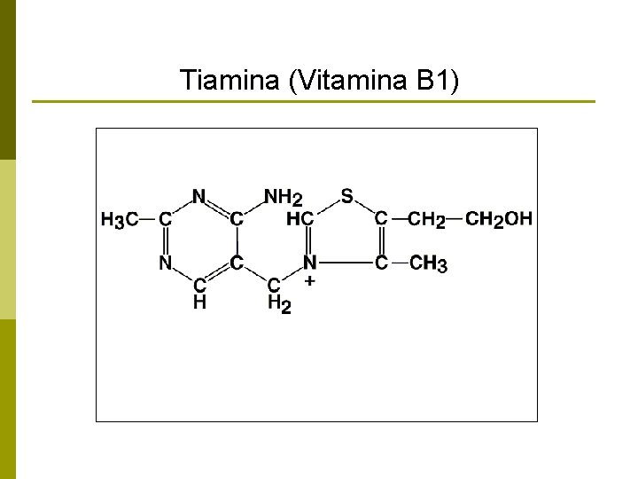 Tiamina (Vitamina B 1) 