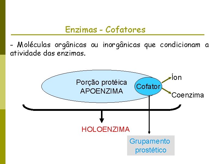 Enzimas - Cofatores - Moléculas orgânicas ou inorgânicas que condicionam a atividade das enzimas.