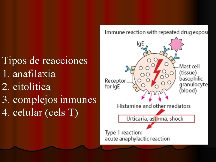 Tipos de reacciones 1. anafilaxia 2. citolítica 3. complejos inmunes 4. celular (cels T)