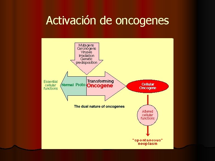 Activación de oncogenes 