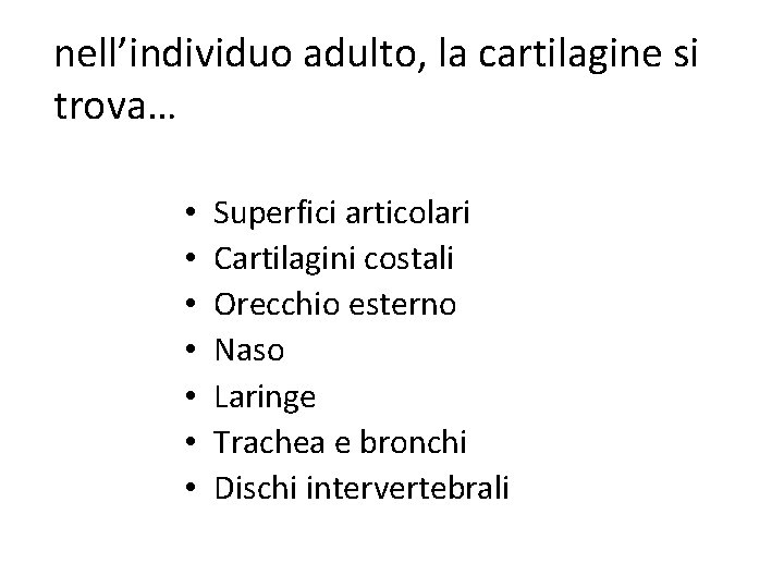 nell’individuo adulto, la cartilagine si trova… • • Superfici articolari Cartilagini costali Orecchio esterno