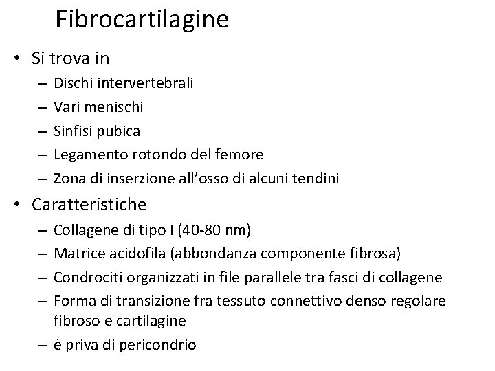 Fibrocartilagine • Si trova in – – – Dischi intervertebrali Vari menischi Sinfisi pubica