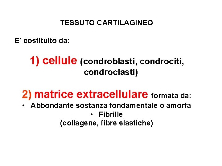 TESSUTO CARTILAGINEO E’ costituito da: 1) cellule (condroblasti, condrociti, condroclasti) 2) matrice extracellulare formata