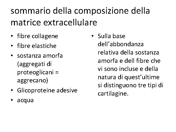 sommario della composizione della matrice extracellulare • fibre collagene • fibre elastiche • sostanza