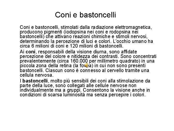 Coni e bastoncelli, stimolati dalla radiazione elettromagnetica, producono pigmenti (iodopsina nei coni e rodopsina
