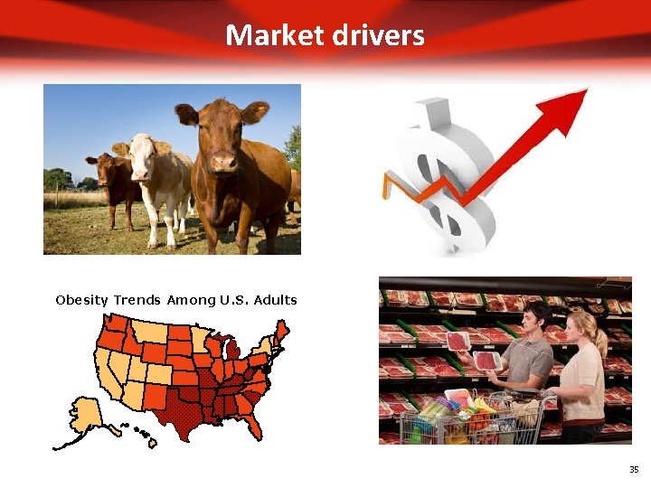 Market drivers Obesity Trends Among U. S. Adults 35 