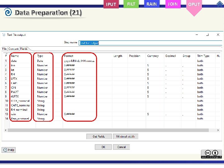 IPUT Data Preparation (21) FILT RAIN JOIN OPUT 