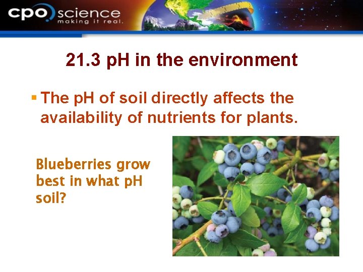 21. 3 p. H in the environment § The p. H of soil directly