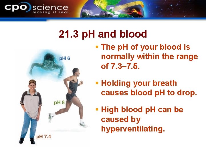 21. 3 p. H and blood § The p. H of your blood is