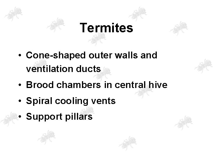 Termites • Cone-shaped outer walls and ventilation ducts • Brood chambers in central hive