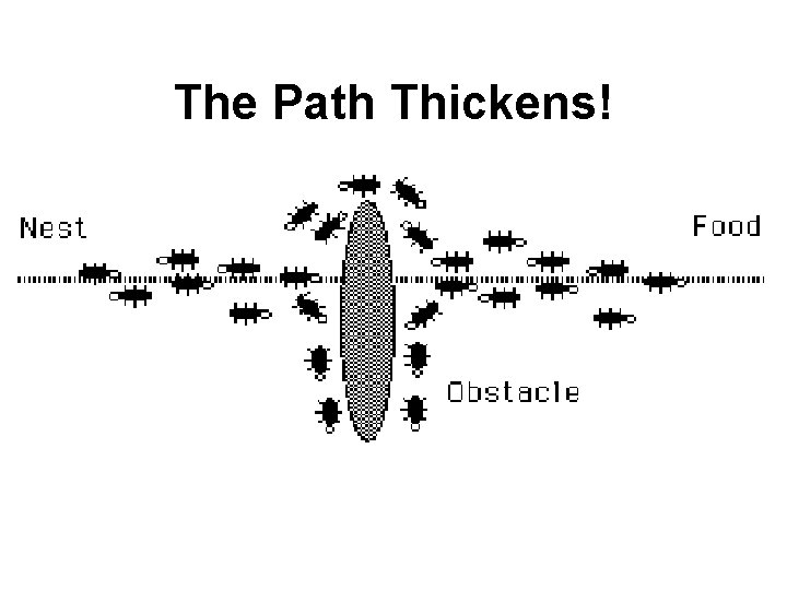The Path Thickens! 