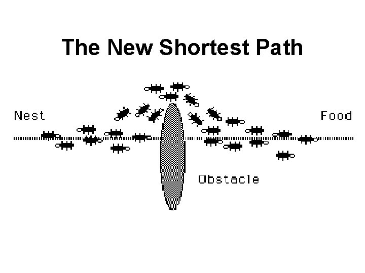 The New Shortest Path 
