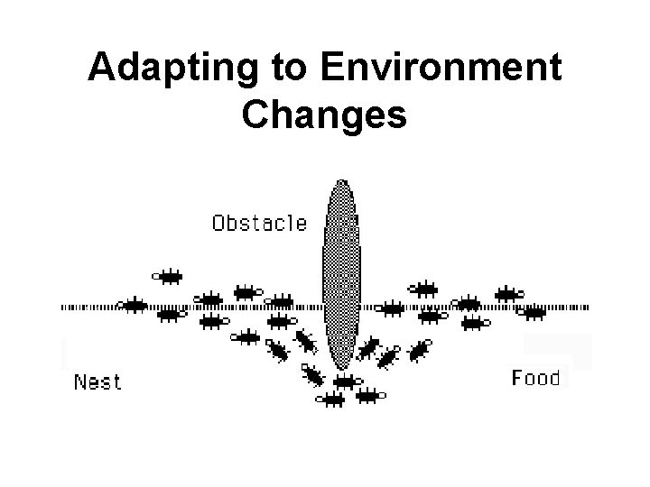Adapting to Environment Changes 