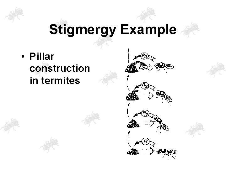 Stigmergy Example • Pillar construction in termites 