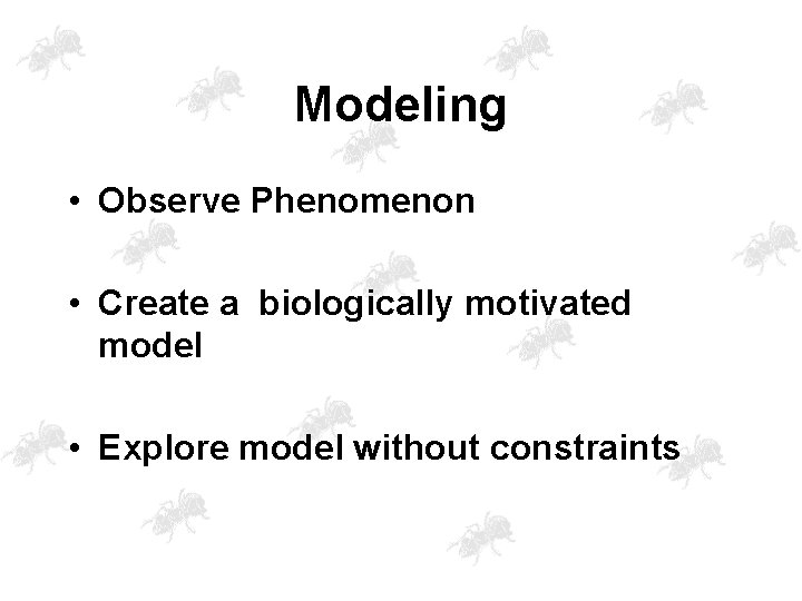 Modeling • Observe Phenomenon • Create a biologically motivated model • Explore model without