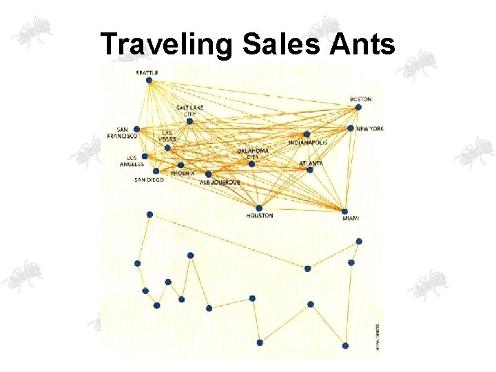Traveling Sales Ants 