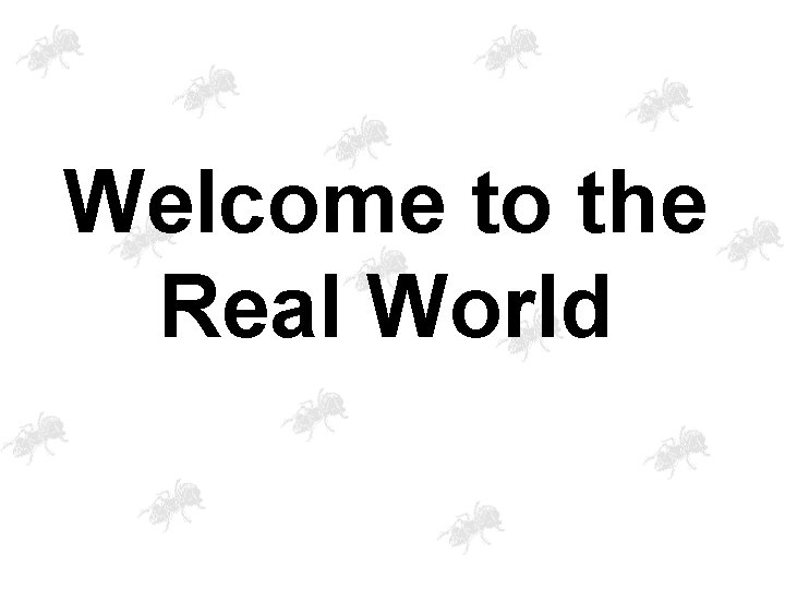 Welcome to the Real World 