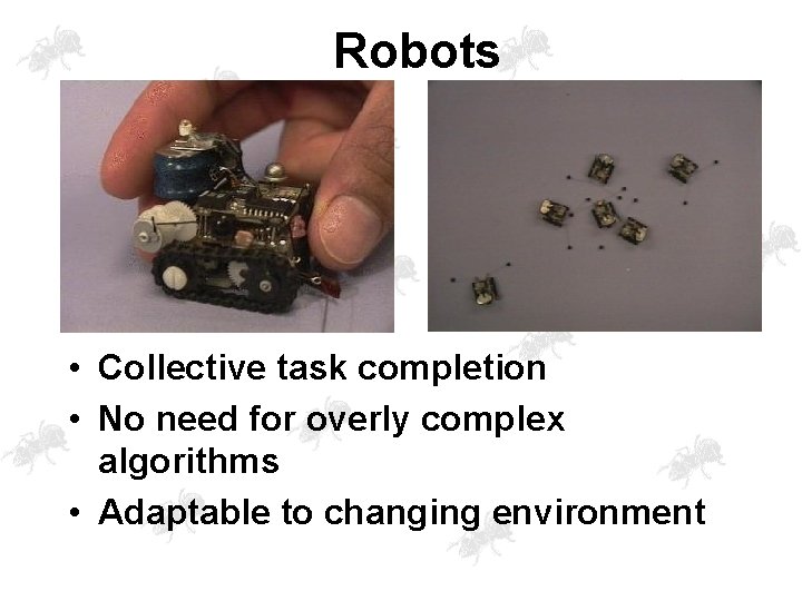 Robots • Collective task completion • No need for overly complex algorithms • Adaptable