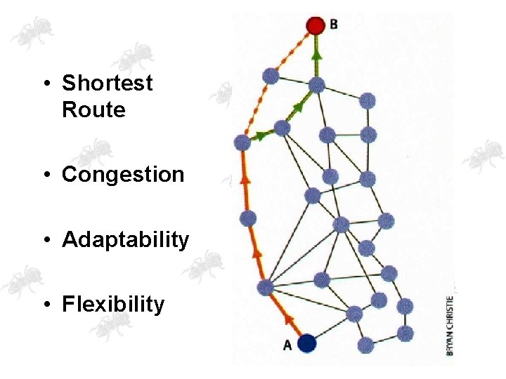  • Shortest Route • Congestion • Adaptability • Flexibility 