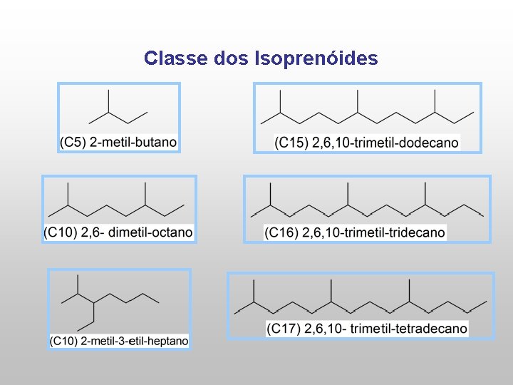 Classe dos Isoprenóides 