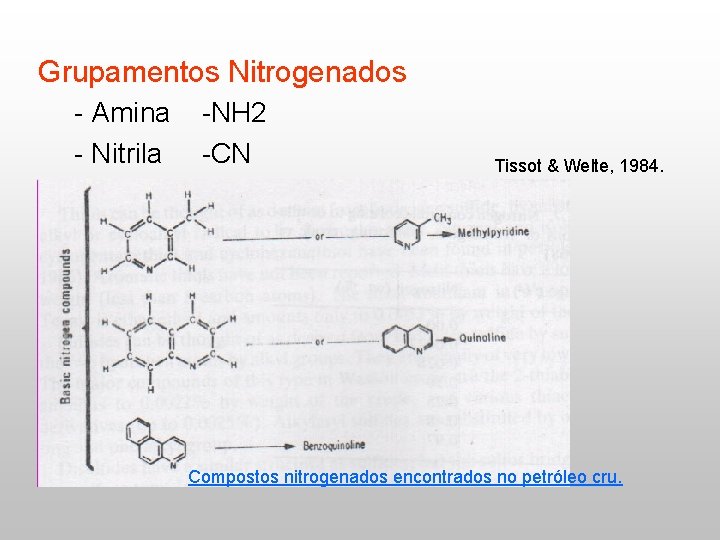 Grupamentos Nitrogenados - Amina - Nitrila -NH 2 -CN Tissot & Welte, 1984. Compostos