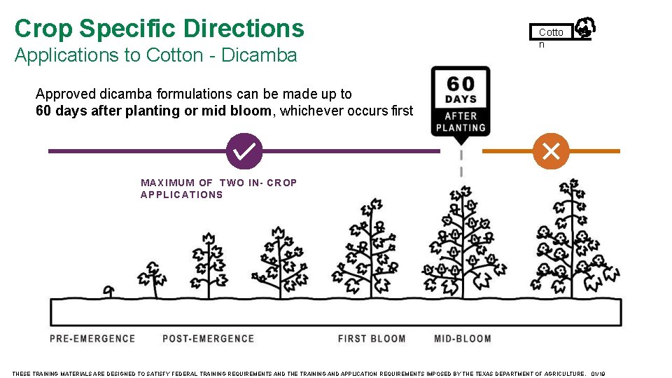 Crop Specific Directions Applications to Cotton - Dicamba Cotto n Approved dicamba formulations can