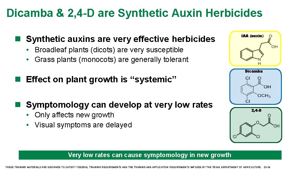 Dicamba & 2, 4 -D are Synthetic Auxin Herbicides Synthetic auxins are very effective