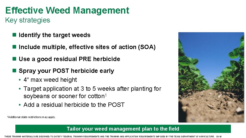 Effective Weed Management Key strategies Identify the target weeds Include multiple, effective sites of