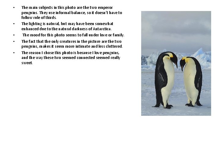 • • • The main subjects in this photo are the two emperor • • • The main subjects in this photo are the two emperor