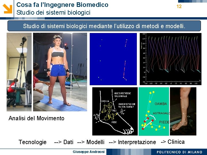 Cosa fa l’Ingegnere Biomedico Studio dei sistemi biologici 12 Studio di sistemi biologici mediante