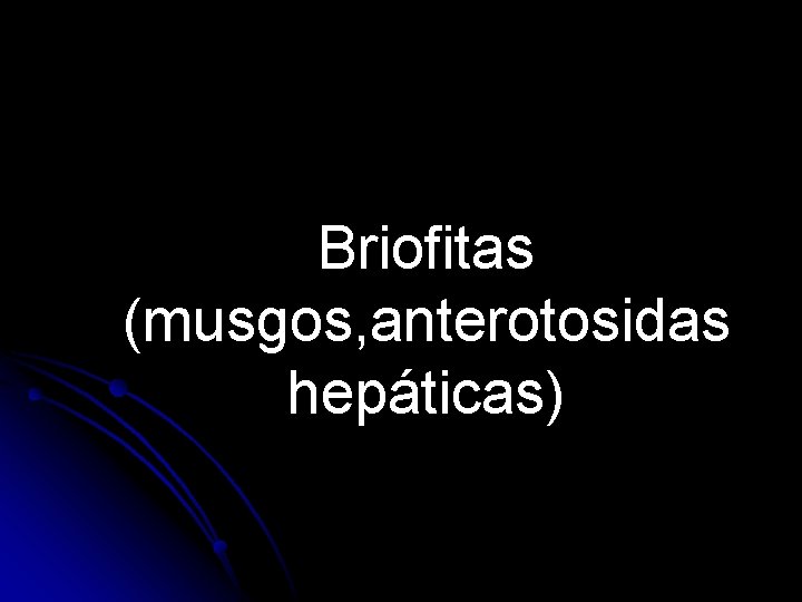 Briofitas (musgos, anterotosidas hepáticas) 