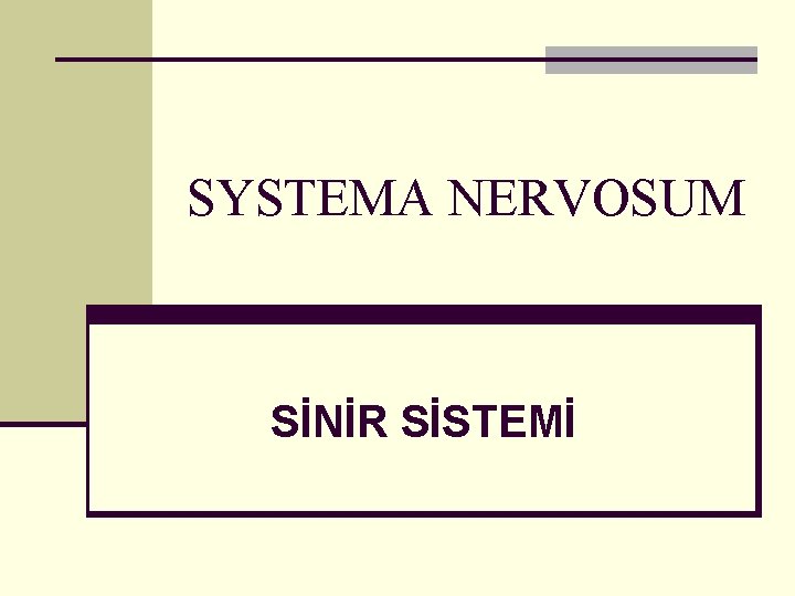 SYSTEMA NERVOSUM SİNİR SİSTEMİ 